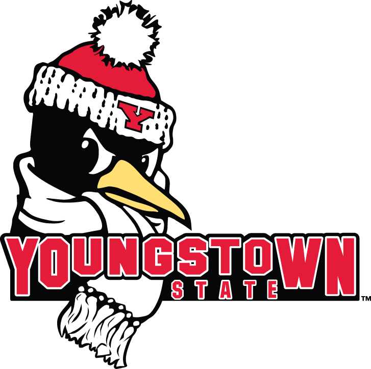 Youngstown State Penguins 2006-Pres Secondary Logo diy DTF decal sticker